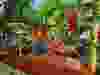 This image provided by Janzen Madsen shows the Roblox game called "Grow a Garden."