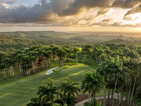 Apes Hill jungle