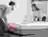 The Endy Mattress