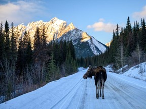 Winter roads trips are best enjoyed when you are prepared for, almost, anything.