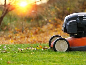 Autumn season, lawn mowing in the garden