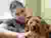 victim in story