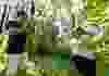 ITAC_JonnyBierman-8