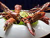 Crayfish at Habitation Céron. PHOTO BY ADAM WAXMAN/DINE MAGAZINE