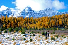 Two hikers in the Larch Valley in Banff National Park, Alberta, Canada.