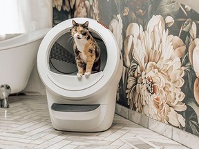 litter robot 4 review, whisker litter robot 4 in white