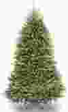 National Tree Company