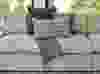 Touch of Class Style Set