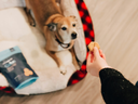 Dog treats for all breeds and sizes.