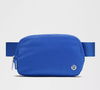 Everywhere Belt Bag 1L
