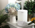 How to clean a humidifier. 