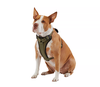 KONG MAX Neoprene Padded Dog Harness