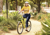 Townie Go! 7D Step-Thru